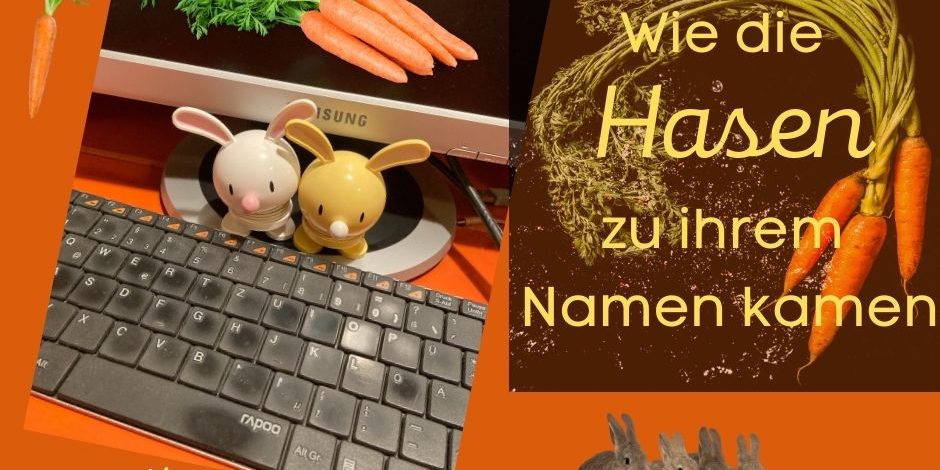 Hasen Hilkea Knies Ulla Keller Möhren
