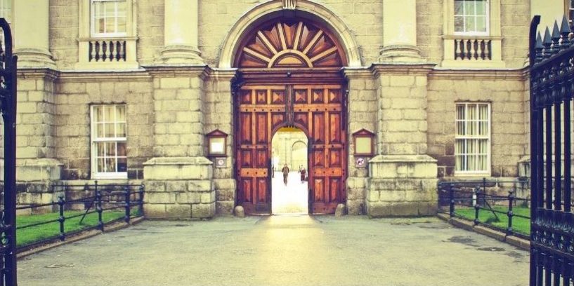 Das Tor für die Sensomotorik Tor Sensomotorik