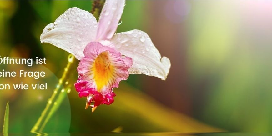 Kopie von Das Tor für die Sensomotorik Vokaltrakt als Blume