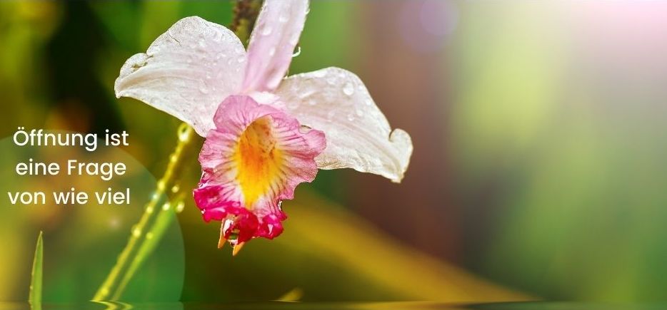 Vokaltrakt als Blume