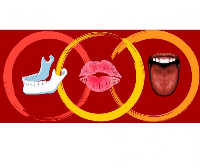 Kreise, Kiefer, Lippen, Zunge, Artikulation