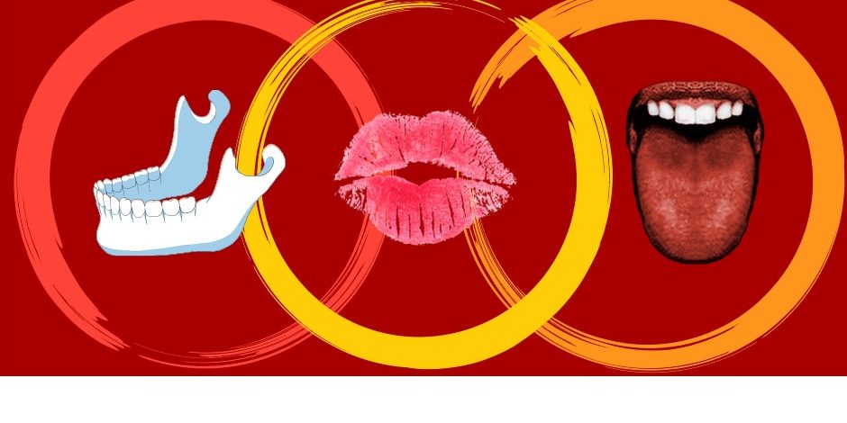 Beitragsbild Artikulation o Tx Kreise, Kiefer, Lippen, Zunge, Artikulation