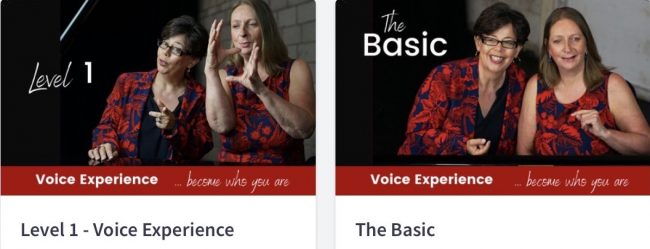 Thinkific Courses Bild mit 2 Kursen Ulla Keller, Hilkea Knies, Kursplattform