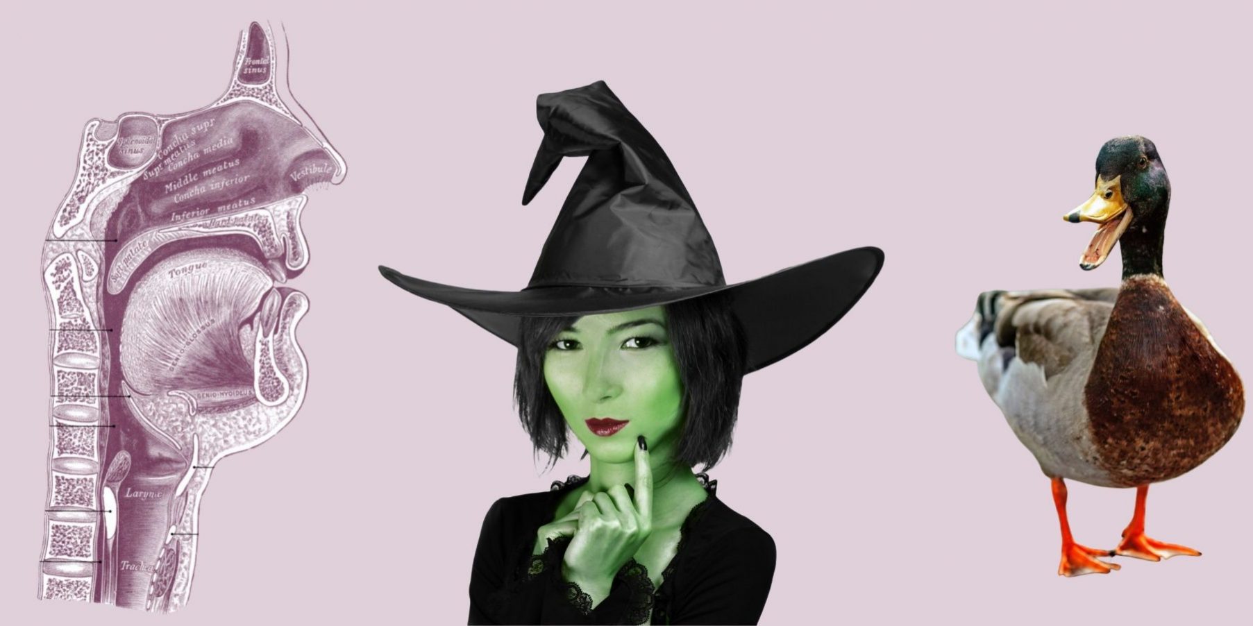 Titelbild Blog Art Twang