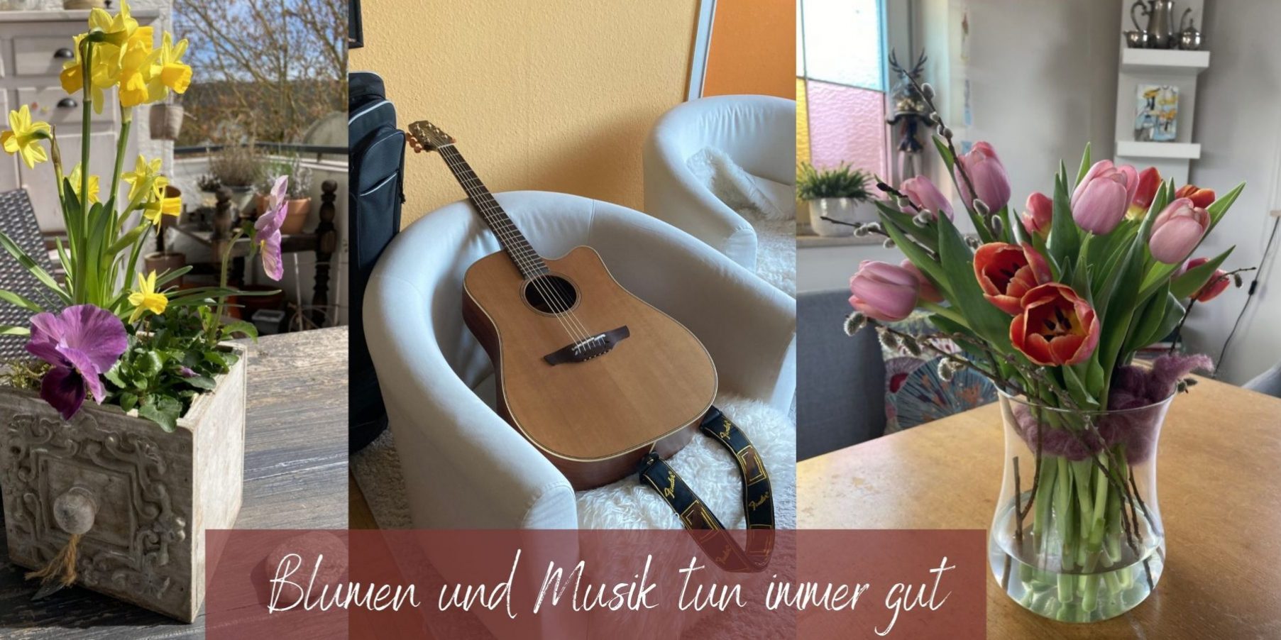 Beitragsbild 12 von 12 April