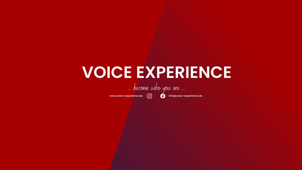 Spielartenrückseite Voice Experience