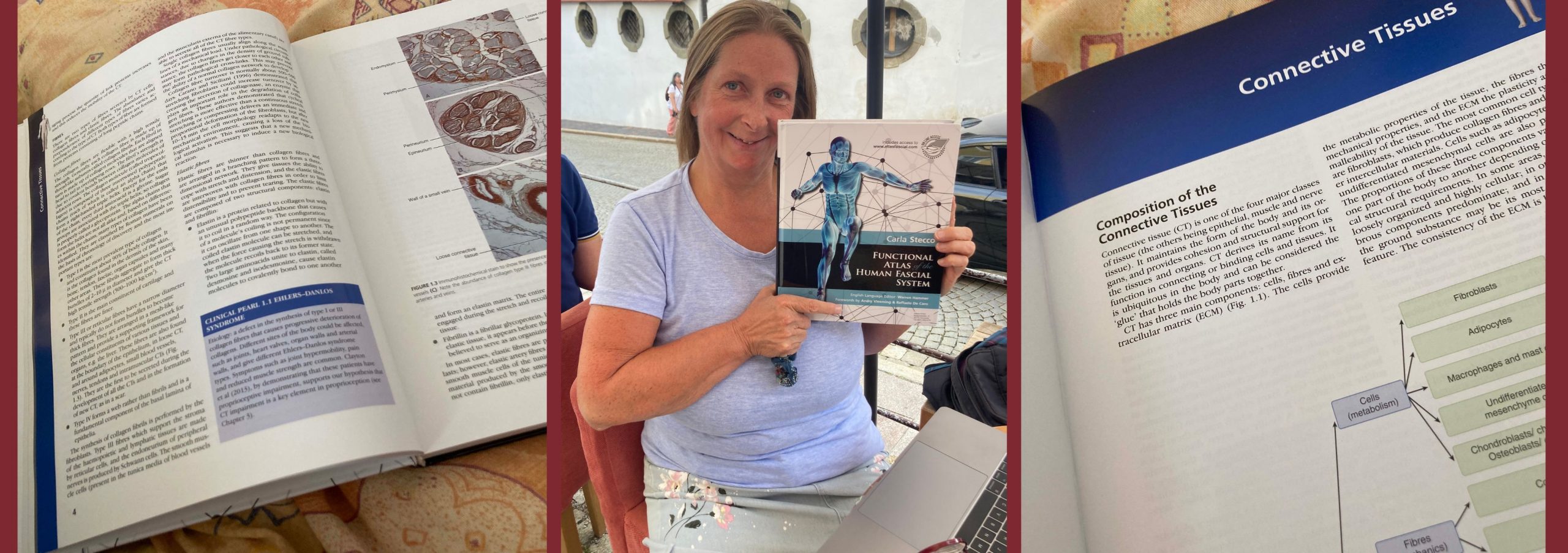 Rezension Carla Stecco Atlas zum menschlichen Fasziensystem