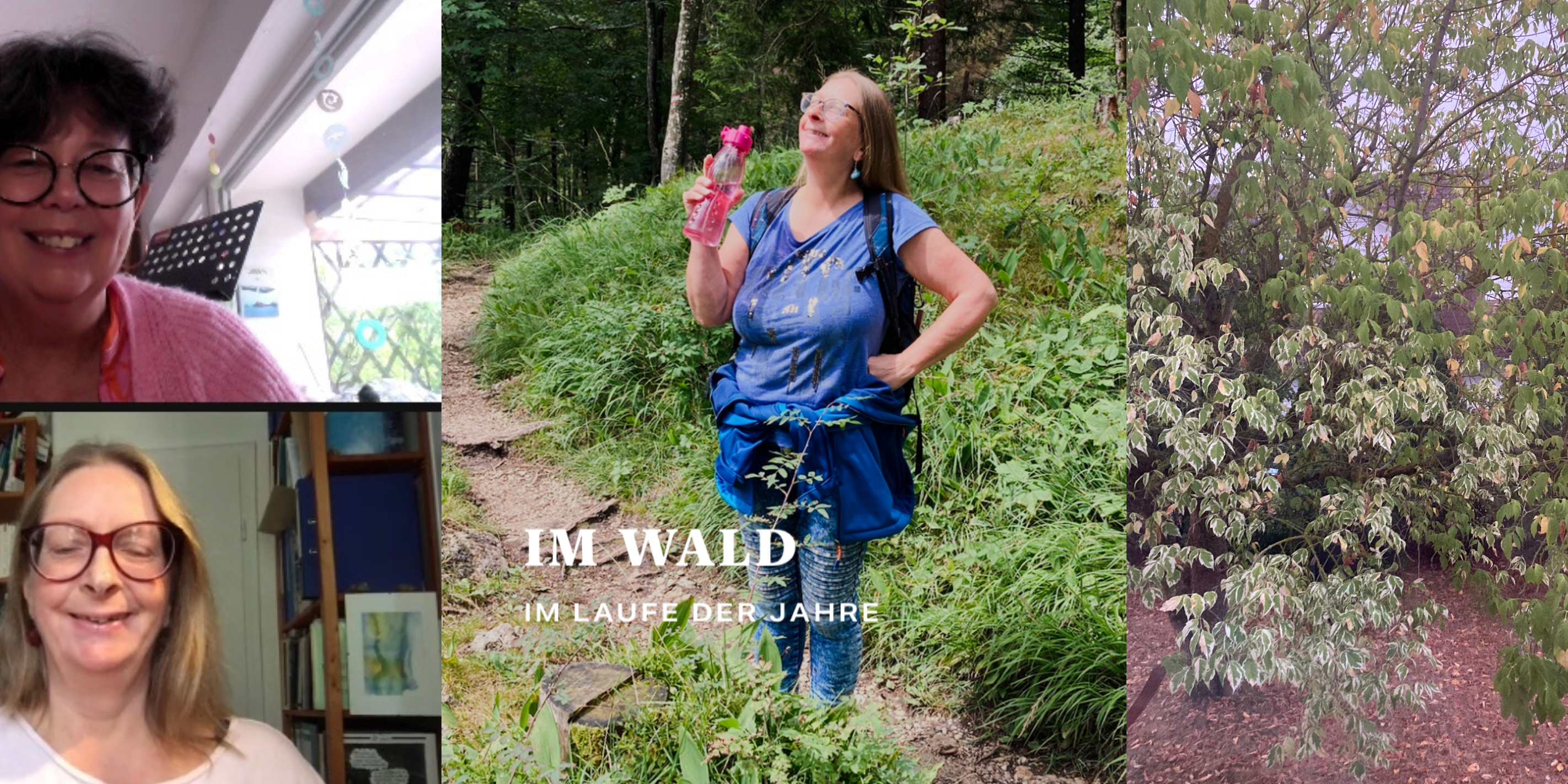 Titelbild Blog Artikel Twang-2